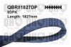 QUINTON HAZELL QBR81827DP V-Ribbed Belts